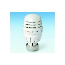 Testa termostatica con sensore Pettinaroli 106CN Bianco