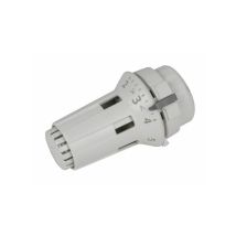 Testa Termostatica Raw 5014 - Danfoss : 013g5014