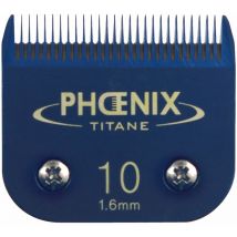 Tête de coupe N°10 Phoenix Céramique