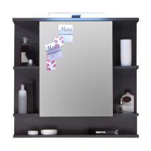 Trendteam - TetisBad Armoire à glace, 1 porte, 5 compartiments ouverts, avec aspect graphite clair, miroir en verre.
