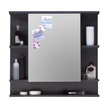 Trendteam - TetisBad Armoire de toilette avec miroir, 1 porte, 5 compartiments ouverts, aspect graphite, miroir en verre.