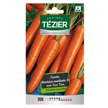 Tezier - Carotte Nantaise Améliorée 3 Race Tam Tam Fort Grammage