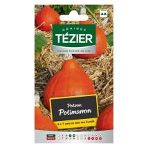 Potiron Potimarron – Graines de potager – Période de plantation / semis – TÉZIER