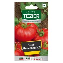 Tomate Marmande – Graines de potager – Période de plantation / semis – TÉZIER