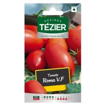 Tomate Roma – Graines de potager – Période de plantation / semis – TÉZIER