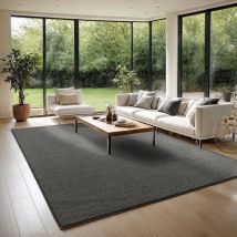 The Carpet - Turin eleganter Kurzflor Wohnzimmer Teppich, weich und pfelegeleicht, dichter Flor, Grau, 146 x 200 cm