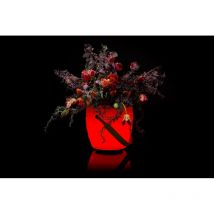 Joouls - The Joouly Bowl ltd l 3in1 LED-beleuchteter Getränkekühler mit Bluetooth-Lautsprecher