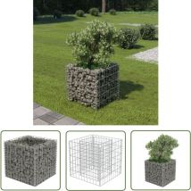 The Living Store Gabionen-Hochbeet Verzinkter Stahl 50×50×50 cm - Gabionen-Hochbeet - Stahltank - Gartendekoration - Blumenerde - Steinfüllung