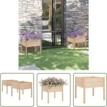 Maison Exclusive - The Living Store Jardinières d'extérieur 2 pcs 70x70x70 cm bois de pin massif - Jardiniere Exterieure - Pot De Fleurs Extérieur