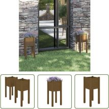 The Living Store Pflanzkübel 2 Stk. Honigbraun 31x31x70 cm Massivholz Kiefer - Holzpflanze - Hochbeet - Kübeln - Gartendeko - Blumenerde