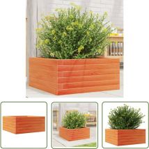 The Living Store - Pflanzkübel Wachsbraun 50x50x23 cm Massivholz Kiefer - Holzpflanze - Holzhintergrund - Gartendekoration - Blumentröge - Kübeln