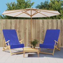 Serviettes de plage 2 pcs bleu royal 60x135 cm tissu 400 gsm The Living Store Bleu