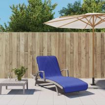 Serviettes de plage 2 pcs bleu royal 75x200 cm tissu 400 gsm The Living Store Bleu