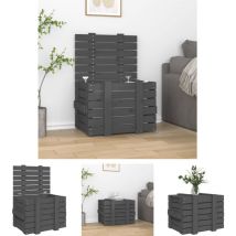 Eliauk - The Living Store Truhe Grau 58x40,5x42 cm Massivholz Kiefer - Ordnungshelfer - Grau