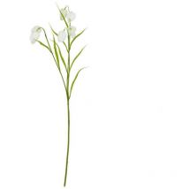 The Natural Garden Collection Fritillaria (Single Stem Flower) - Plastic - L22 x W22 x H58 cm - White