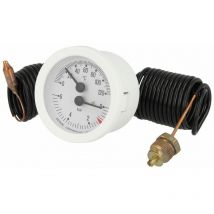 Thermomanomètre Flora bef