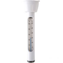 Thermomètre pour piscine Intex