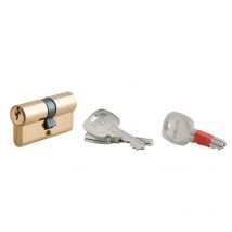 Cylindre de serrure double entrée clé modifiable, 30x30mm, anti-arrachement, anti-perçage, laiton, 2x3 clés