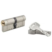 Thirard - Cylindre de serrure double entrée Federal s, 40x40mm, nickel, anti-arrachement, anti-perçage, 5 clés