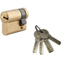 Demi-cylindre de serrure Tiger 6, 30x10mm, laiton, anti-arrachement, anti-perçage, 5 clés