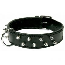 Thor 50 cm x 15 mm schwarzer Kragen