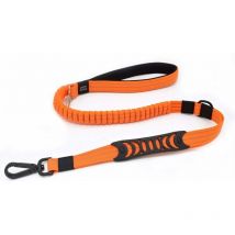 Laisse pour Chien Anti Traction Laisse de Sécurité pour Voiture Petite Moyenne Grande Nylon Réfléchissant Solide (110CM Orange)