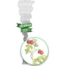 Floordirekt - Lot de 30 tuteurs galvanisés pour plantes grimpantes, tomates, concombres, framboises ou fleurs - 110 cm