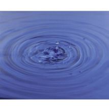 Tiges-test du nitrate