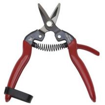 Zitrusschere 17 cm gebogen – Edelstahl – ergonomischer Griff – ideal für Kakis und Zitrusfrüchte
