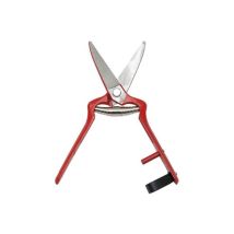 Pajarita – Gerade Traubenernteschere 19 cm – Ergonomisches Design – Ideal für Weinlese und Obsternte