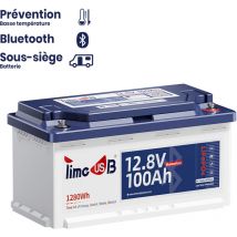 Batterie Lithium LiFePO4 12V 100Ah Sous Siège Bluetooth, bms Intelligent, Hauteur 189mm, Protection contre le froid, parfait pour Siège de