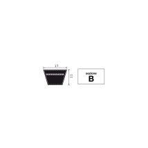 Cinghia Trapezoidale Sezione B95 Sviluppo Primitivo 2453mm Macchina Agricola