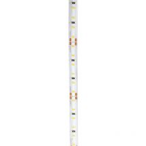 Led Cinta blanca 120 LED/m 9W/m IP65 5m - Blanco de día 6000K