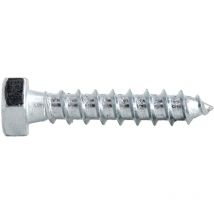 Tirefond acier zingué din 571 12X100 boîte de 50 - ultima - 14112100