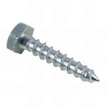D-work - Tirefond bois tête hexagonale 14 x 160 mm Zingué - Boite de 25 pcs - Fixtout TIR1416002B