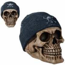 Tirelire en résine Crâne modèle bleu