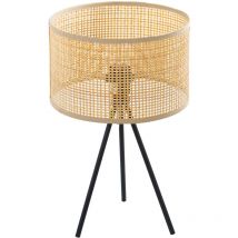 Tischlampe aus metall/weid 1XE27 MAX40W nicht inbegriffen °25X40CM bildschirm °25X14,5CMfür alle Stile, um dem Zuhause eine Note zu verleihen