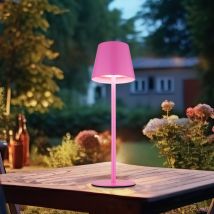 Außenleuchte Tischlampe Akku Tischleuchte Touchdimmer Flaschenaufsatz cct, pink, usb-c, led 3W 200Lm warm-kaltweiß, DxH 11,5x36 cm