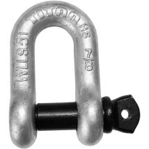 Grillo ad Alta Resistenza zincato a Caldo Modello a d per Catena - Titan