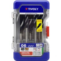 Confezione da 6 punte per legno a 4 taglienti gambo esagonale ø da 12 a 32 mm - Tivoly