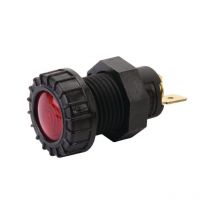 Témoin lumineux Hella 2AA008594031