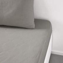 Essential - Lenzuolo con angoli, 90 x 190 cm, 1 persona, 100% cotone, tinta unita - Today