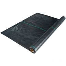 Toile anti mauvaises herbes 100 g/m2 Werka Pro 1 x 25 m