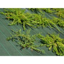 Toile de paillage - Vert - 130gr/m² - Petite dimension Pliés 1.65m x 5m Vert