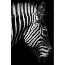 Toile zèbre noir blanc 66x95cm