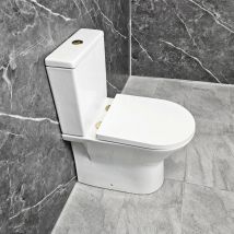 Toilet with Brushed Brass Flush Button & Hinges Molly Rimless + Soft Close Seat