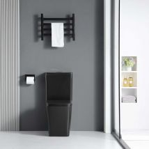 Toilette wc à poser bragado en céramique noir mat