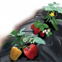 Bauherr - Toldo anti malezas ex 1,5x25m 50g/m2, negro,SB-Rolle