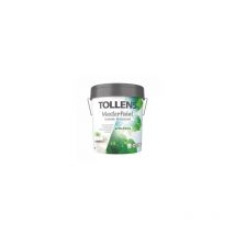 Tollens Pintura al Agua Blanco Mate 750ml