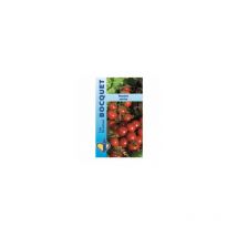 Tomate cerise - 0,5g